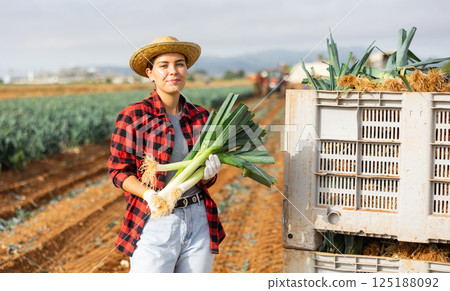 Woman farmer harvesting leeks and stacking them in boxes in field 125188092
