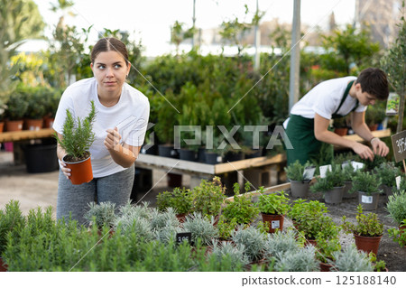 Female purchaser chooses rosemary in pot instead of bouquet for gift to colleague 125188140