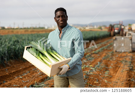Smiling african american farmer standing on field with crate of harvested leek Smiling african american farmer standing on field with crate of harvested leek 125188605