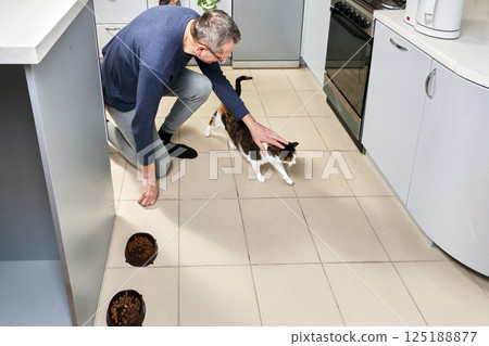 Calico cat known as female by nature gets petted by man kneeling on kitchen floor beside food bowls in bright clean cooking area. 125188877
