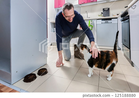 Calico cat stands near man who gently pets its head as they interact on kitchen floor beside food bowls in bright modern interior. Calico cat stands near man who gently pets its head as they interact on kitchen floor beside food bowls in bright modern interior. 125188880