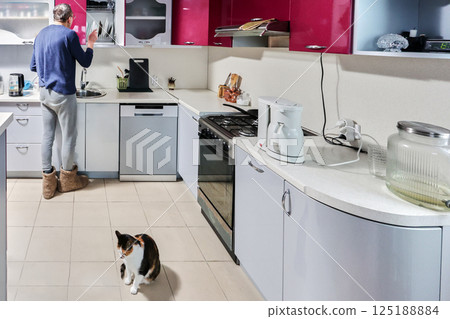 Person stands near sink washing dishes in modern kitchen, calico cat sits quietly on tiled floor, white countertops and red cabinets create cozy atmosphere. 125188884