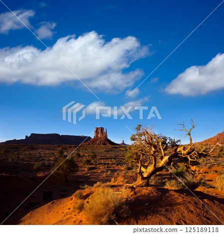 Monument Valley West Mitten Butte Utah Park Monument Valley West Mitten Butte Utah Park 125189118