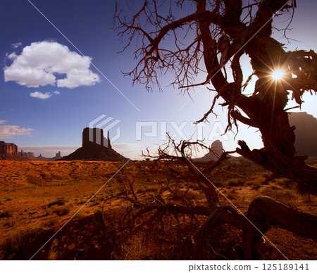 Monument West Mitten Butte in morning Utah Monument West Mitten Butte in morning Utah 125189141