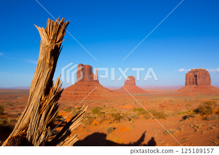 Monument Valley West and East Mittens and Merrick Butte 125189157