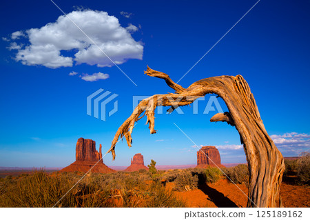 Monument Valley West and East Mittens and Merrick Butte Monument Valley West and East Mittens and Merrick Butte 125189162