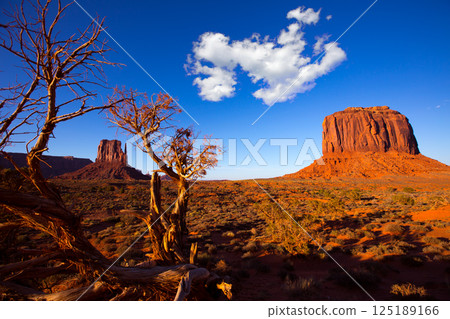 Monument Valley West Mitten and Merrick Butte Monument Valley West Mitten and Merrick Butte 125189166