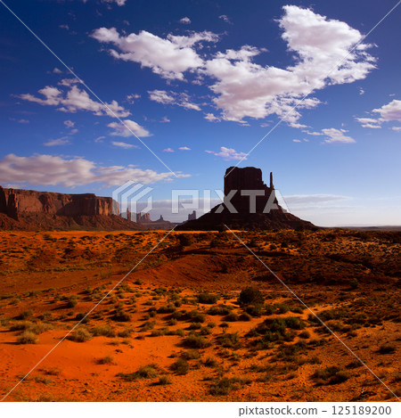 Monument West Mitten Butte in morning Utah 125189200