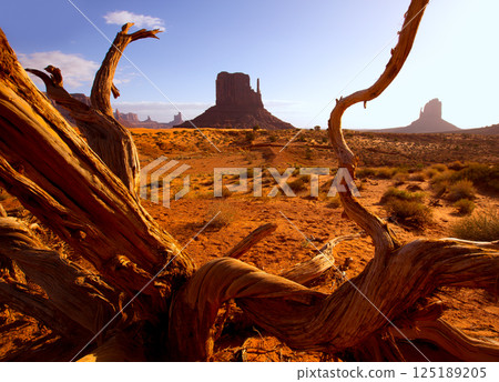Monument West Mitten Butte in morning Utah 125189205