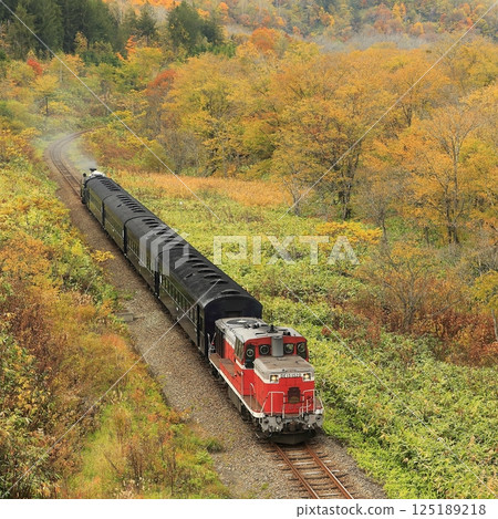 函館秋葉線 125189218