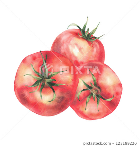 Watercolor Red tomatoes vegetables illustration isolated on white Whole ripe three fruit with green stalk. Hand drawn sketch in realistic style. Natural clipart for Farm plats healthy food label print 125189220