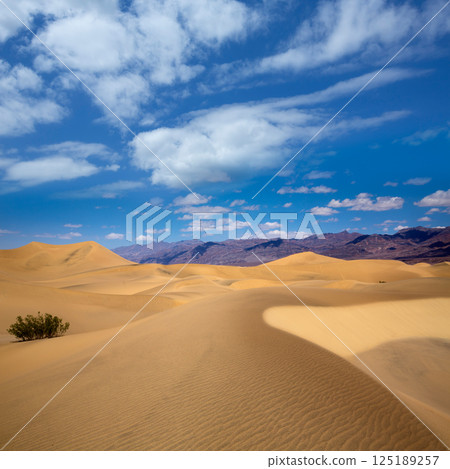 Mesquite Dunes desert in Death Valley National Park 125189257