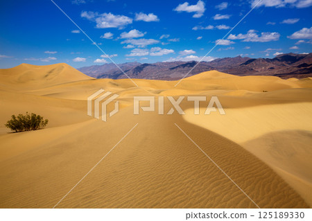 Mesquite Dunes desert in Death Valley National Park 125189330