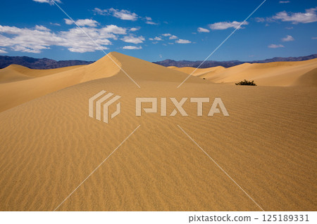 Mesquite Dunes desert in Death Valley National Park 125189331