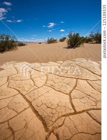 Mesquite Dunes dried clay macro detail in Death Valley 125189335