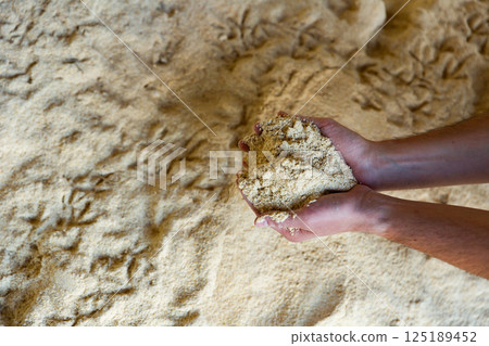 Corn flour in hands Corn flour in hands 125189452