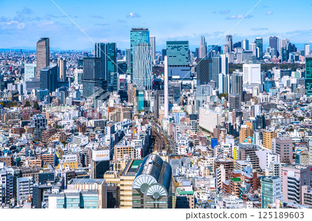Tokyo cityscape in Japan. A rare view of the mountains. Overlooking Shibuya's buildings and trains. 125189603