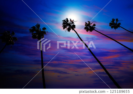 California palm trees sunset with colorful sky 125189655