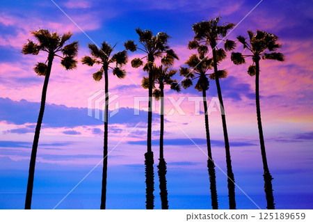 California palm trees sunset with colorful sky 125189659