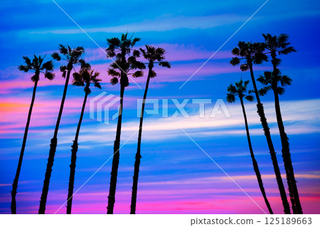 California palm trees sunset with colorful sky 125189663