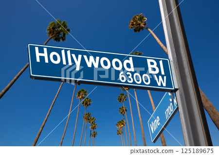 Hollywood Boulevard with  sign illustration on palm trees 125189675