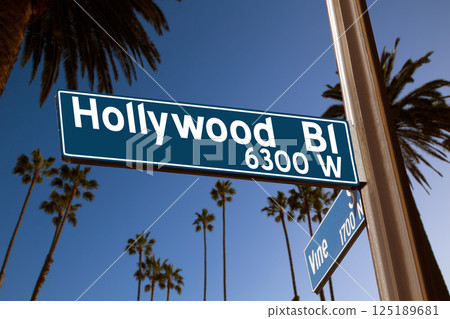 Hollywood Boulevard with sign illustration on palm trees Hollywood Boulevard with sign illustration on palm trees 125189681
