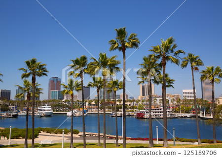 Long Beach California skyline from palm trees of port Long Beach California skyline from palm trees of port 125189706