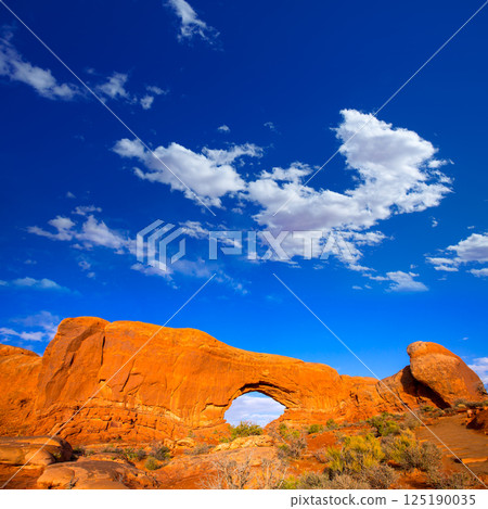 Arches National Park in Moab Utah USA 125190035