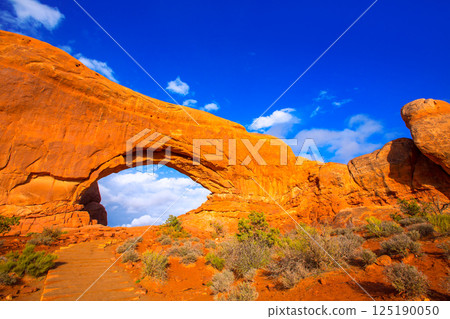 Arches National Park in Moab Utah USA Arches National Park in Moab Utah USA 125190050