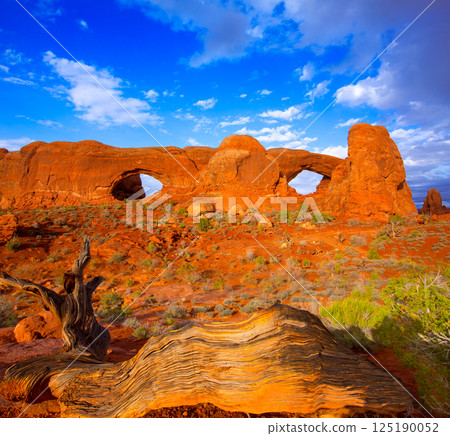 Arches National Park in Moab Utah USA Arches National Park in Moab Utah USA 125190052