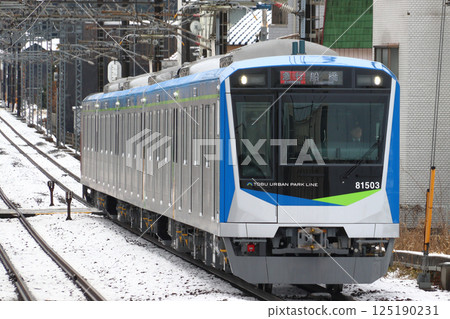 [TD] Tobu Noda Line 80000 series train in winter (express: Omiya⇔Funabashi) 125190231