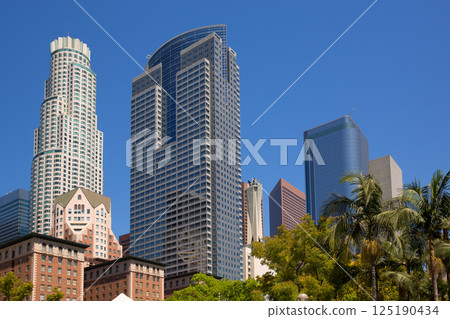 LA Downtown Los Angeles Pershing Square palm tress LA Downtown Los Angeles Pershing Square palm tress 125190434