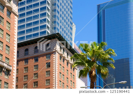 LA Downtown Los Angeles Pershing Square palm tress 125190441