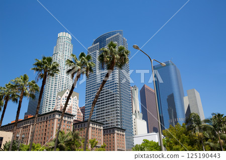LA Downtown Los Angeles Pershing Square palm tress 125190443