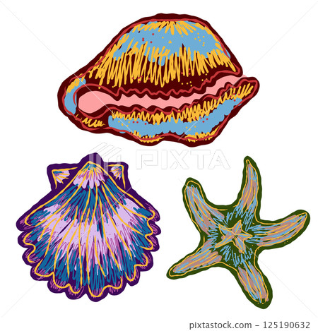 sea shell on a blackboard sea shell on a blackboard 125190632