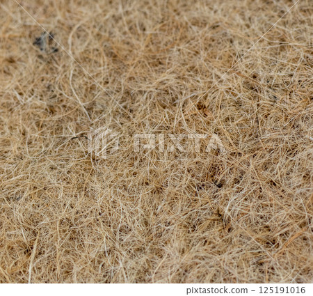 Close up shot of the jute mat surface used for growing micro greens 125191016