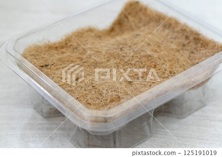 Close up shot of the jute mat surface used for growing micro greens 125191019