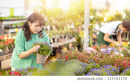 young female client chooses lobelia seedlings for flower bed near a country house 125191170