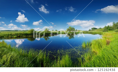 藍天與沼澤的夏日風景 藍天與沼澤的夏日風景 125192438