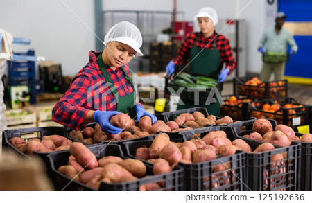 Woman checking quality and sorting potatoes in storehouse 125192636