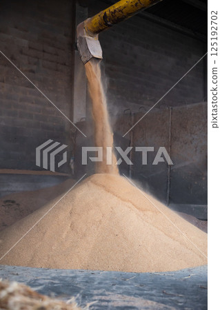 Soybean husk pouring out of tube in warehouse 125192702