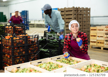 Girl checking quality of tomatoes in vegetable warehouse Girl checking quality of tomatoes in vegetable warehouse 125192709