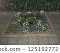 Flowerbed at night 125192772