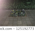 Flowerbed at night 125192773