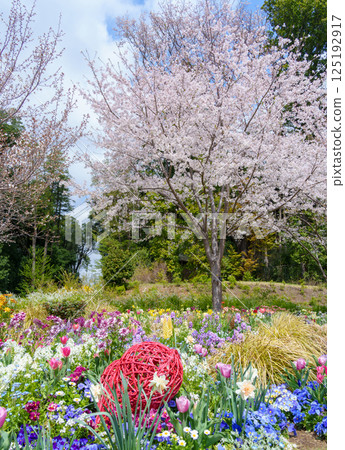 里山花園的迎賓花園，各種花朵盛開（神奈川縣橫濱市） 125192917