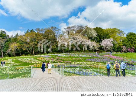 里山庭園，春季花壇（神奈川縣橫濱市） 125192941