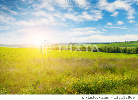 Sunrise over beautiful summer field with colorful flowers in the foreground and blue sky with clouds. Sunrise over beautiful summer field with colorful flowers in the foreground and blue sky with clouds. 125192969
