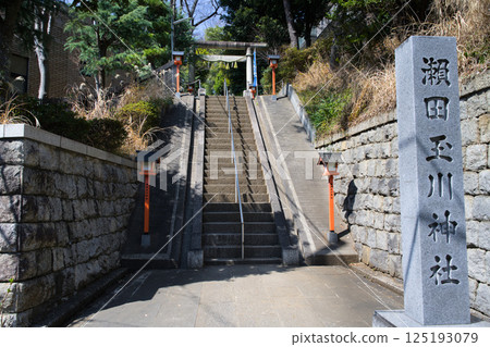 Seta Tamagawa Shrine, Setagaya, Tokyo 125193079