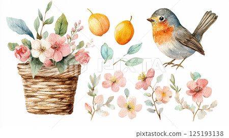 Bird and flower illustration set Bird and flower illustration set 125193138
