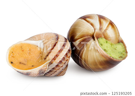 escargot snail filled with garlic and parsley butter isolated on white background escargot snail filled with garlic and parsley butter isolated on white background 125193205